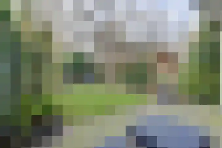 Ansinghlaan 60 Nieuwegein thumbnail 45