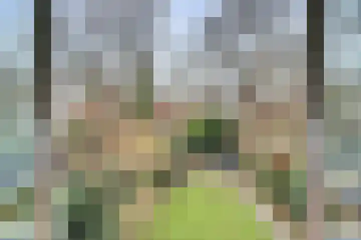 Ansinghlaan 60 Nieuwegein thumbnail 5