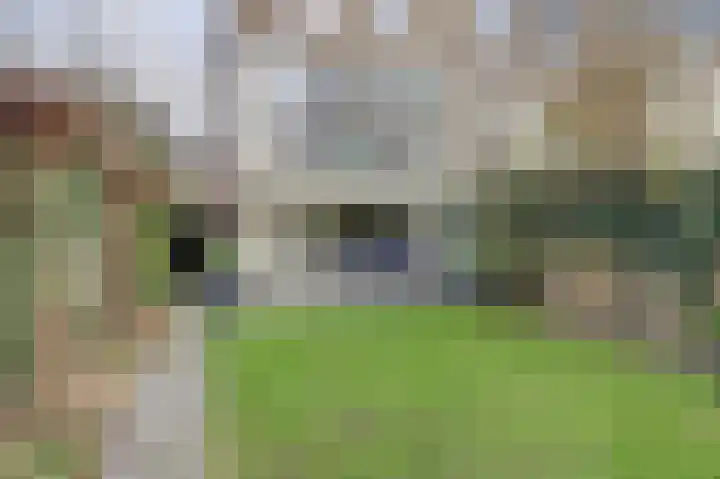 Ansinghlaan 60 Nieuwegein thumbnail 50