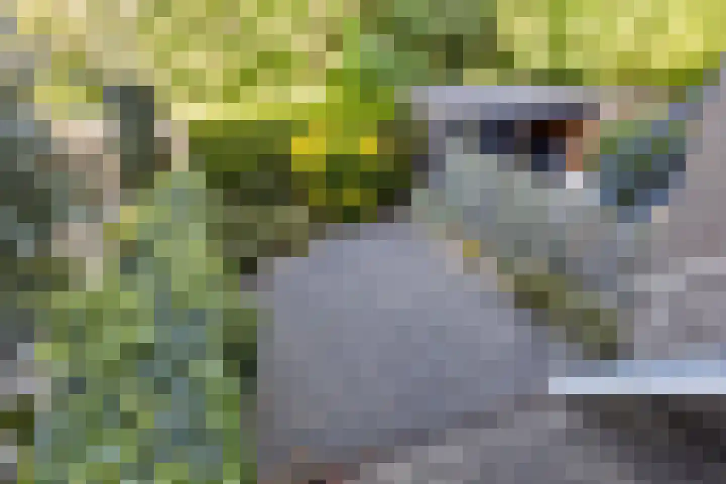 Ansinghlaan 78 Nieuwegein thumbnail 22