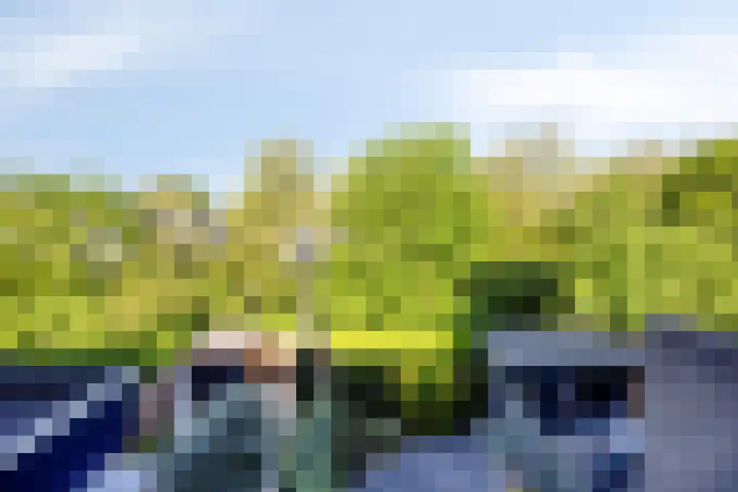 Ansinghlaan 78 Nieuwegein thumbnail 41