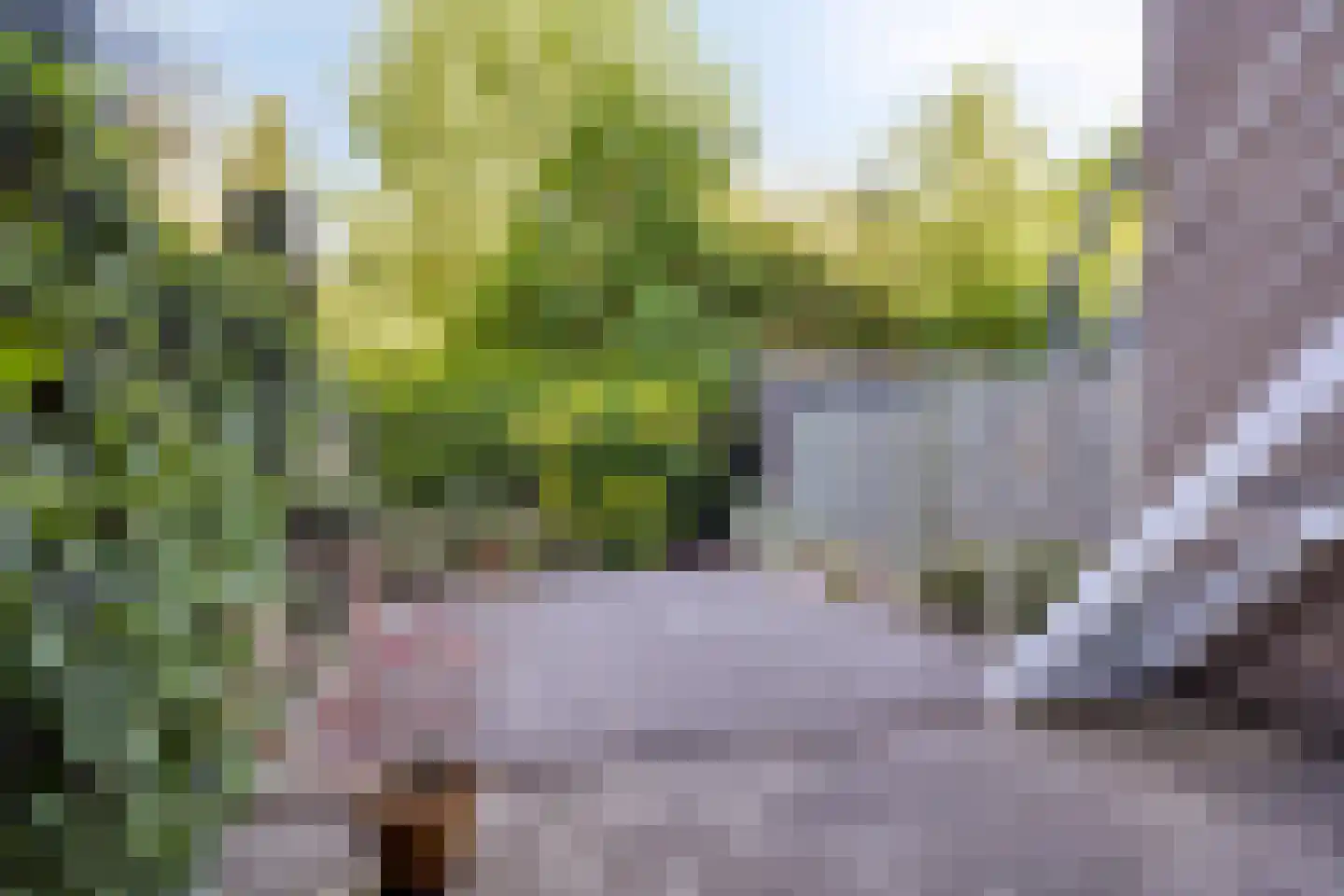 Ansinghlaan 78 Nieuwegein thumbnail 42