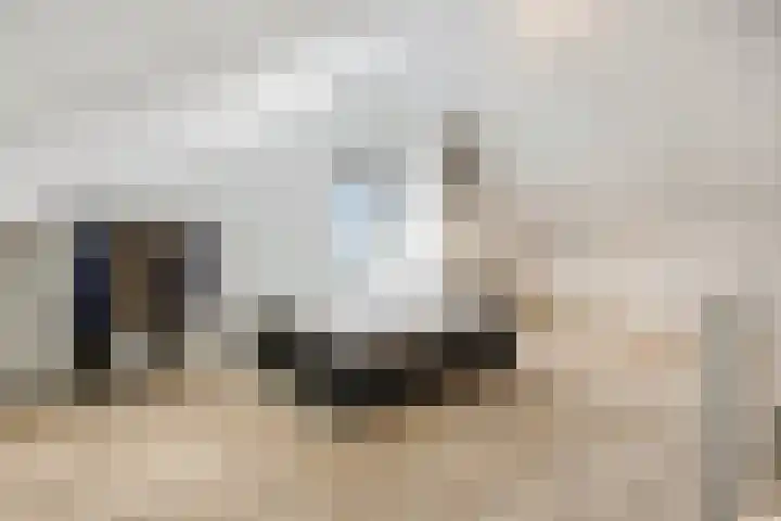 Ansinghstraat 21 Ede thumbnail 30