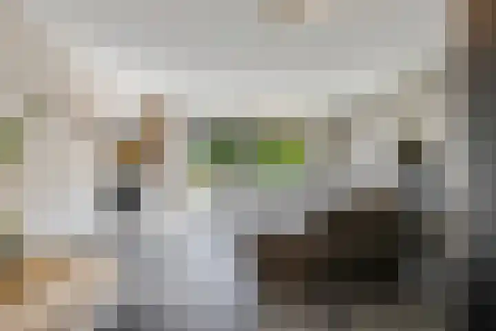 Ansinghstraat 21 Ede thumbnail 4