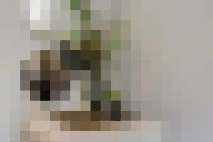 Ansinghstraat 21 Ede thumbnail 8