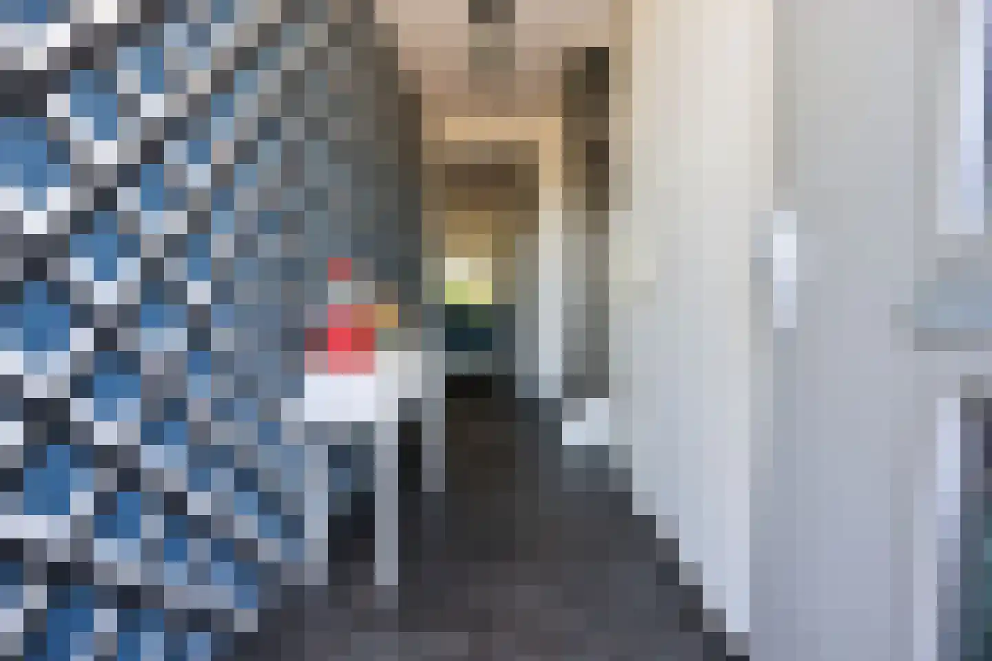 Ansinghstraat 38 Ede thumbnail 5