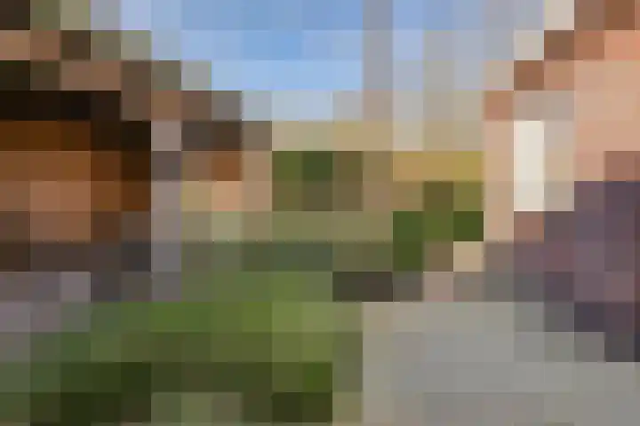 Ansjoviskade 2 Kolhorn thumbnail 23