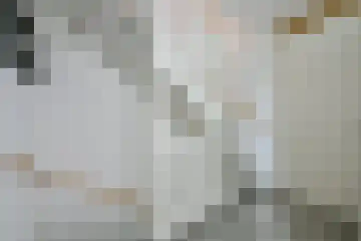 Ansjoviskade 24 Kolhorn thumbnail 24