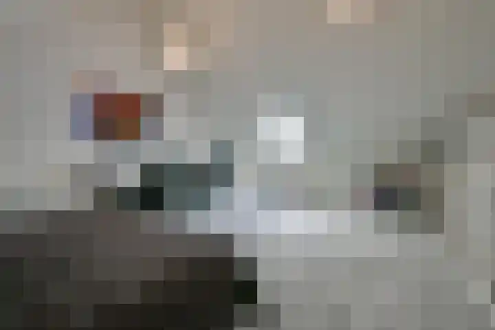 Ansjoviskade 24 Kolhorn thumbnail 26