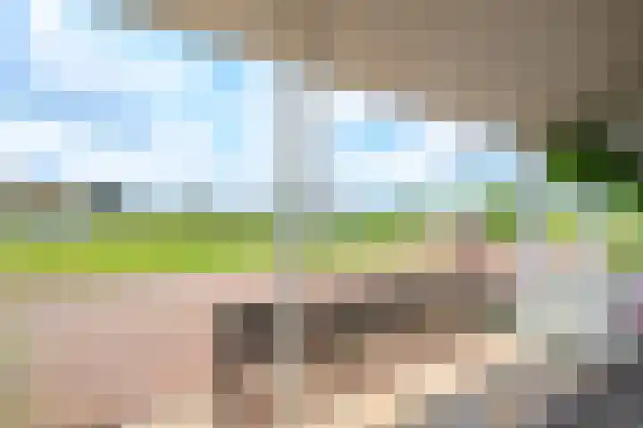 Ansjoviskade 24 Kolhorn thumbnail 29