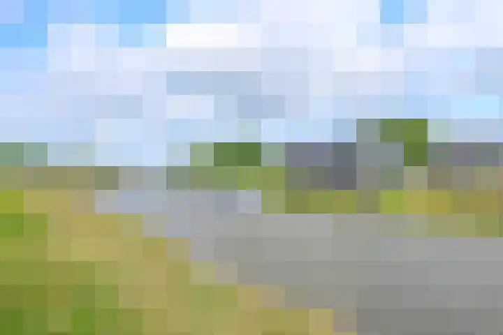 Ansjoviskade 24 Kolhorn thumbnail 30