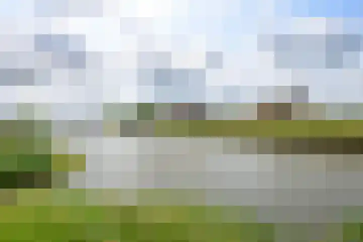 Ansjoviskade 24 Kolhorn thumbnail 31