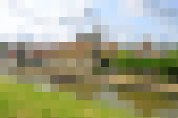 Ansjoviskade 24 Kolhorn thumbnail 32