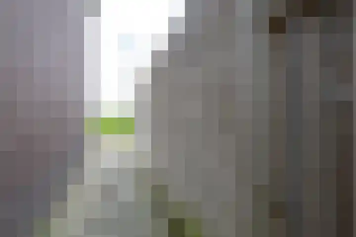 Ansjoviskade 24 Kolhorn thumbnail 33