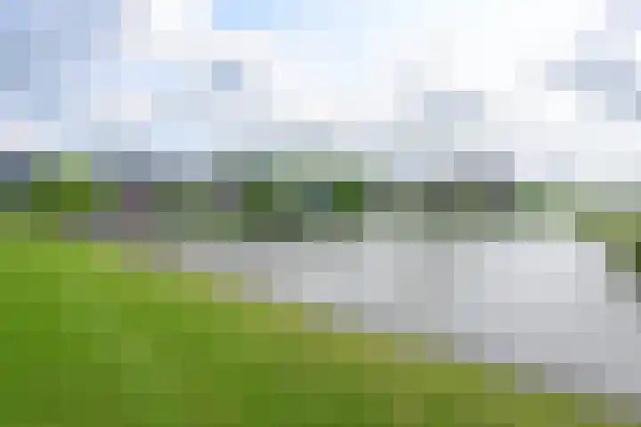 Ansjoviskade 24 Kolhorn thumbnail 34