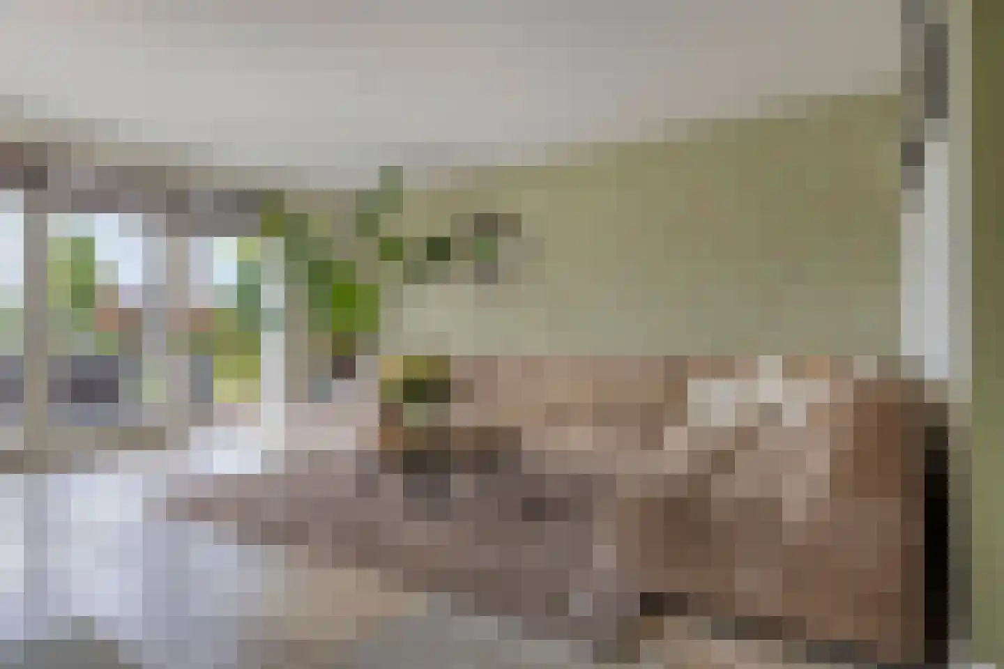 Ansjoviskade 27 Kolhorn thumbnail 18