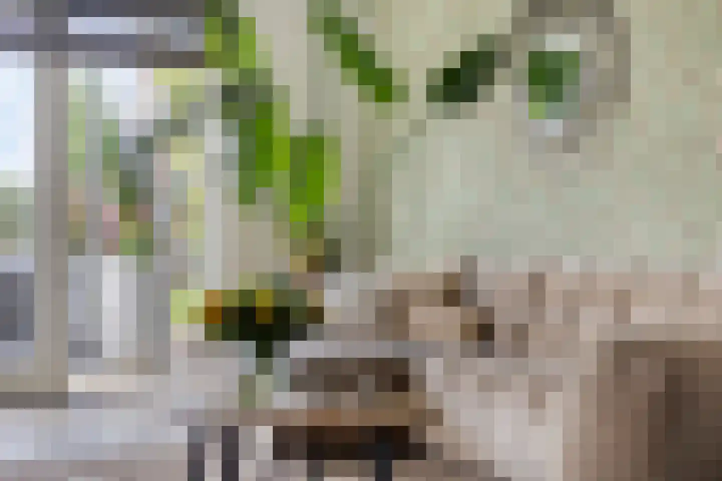 Ansjoviskade 27 Kolhorn thumbnail 21