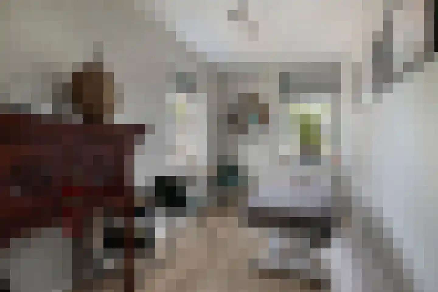 Ansjoviskade 27 Kolhorn thumbnail 33