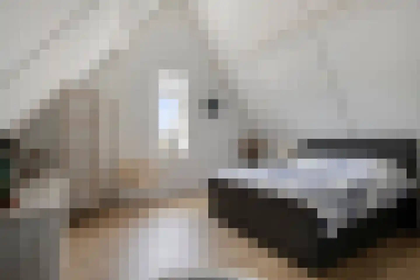 Ansjoviskade 27 Kolhorn thumbnail 39