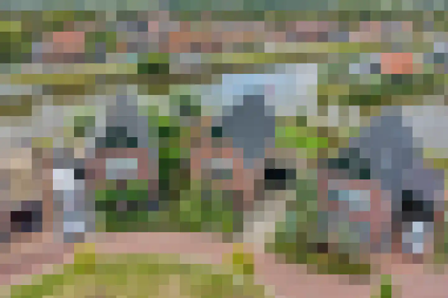 Ansjoviskade 27 Kolhorn thumbnail 48