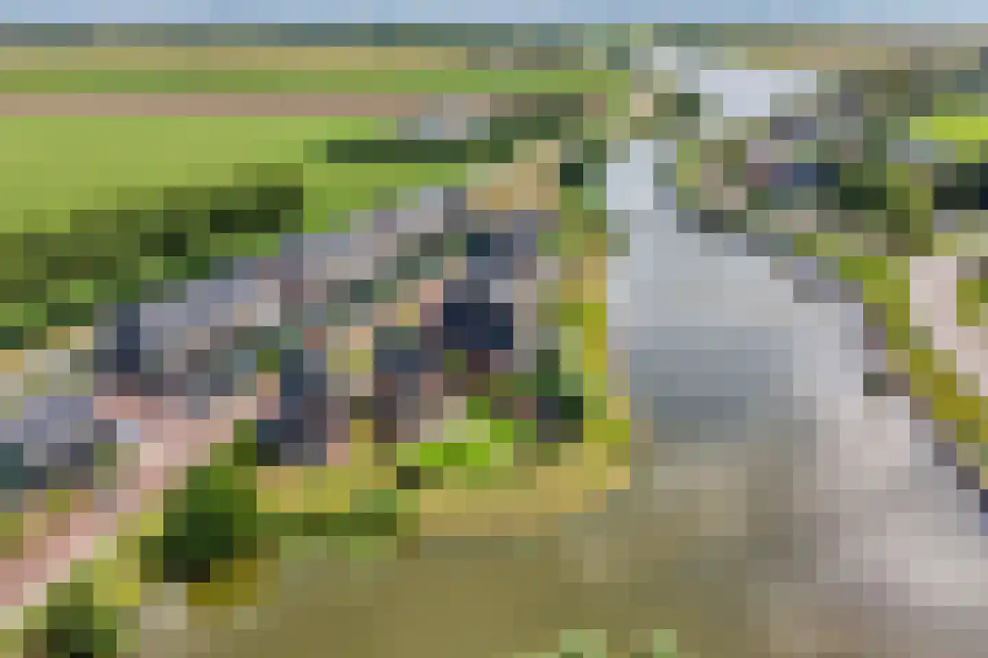 Ansjoviskade 27 Kolhorn thumbnail 53