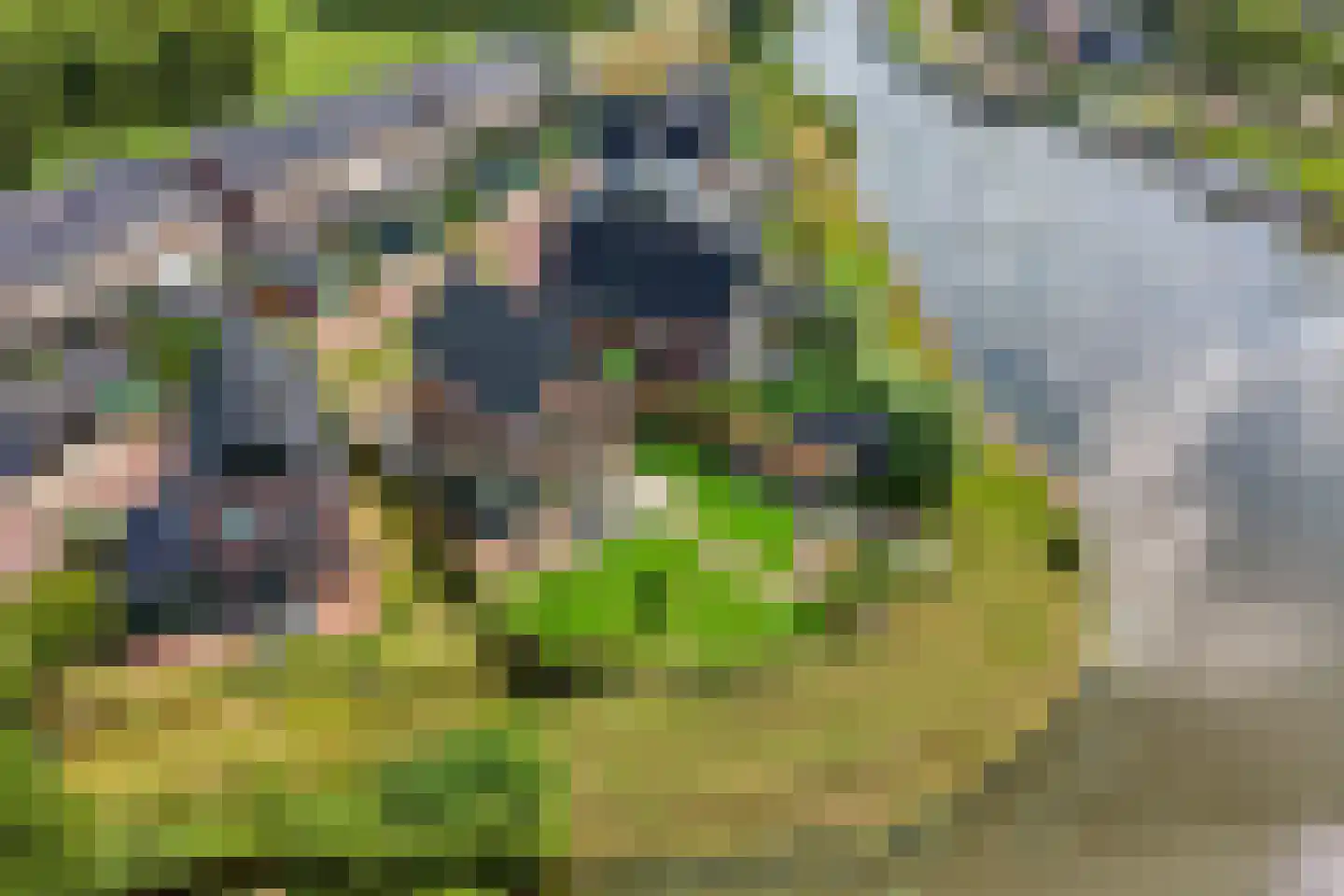 Ansjoviskade 27 Kolhorn thumbnail 8