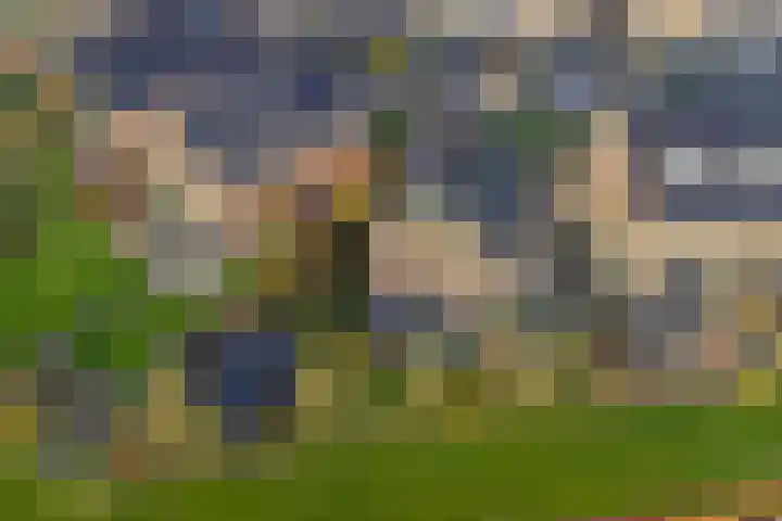 Ansjoviskade 29 Kolhorn