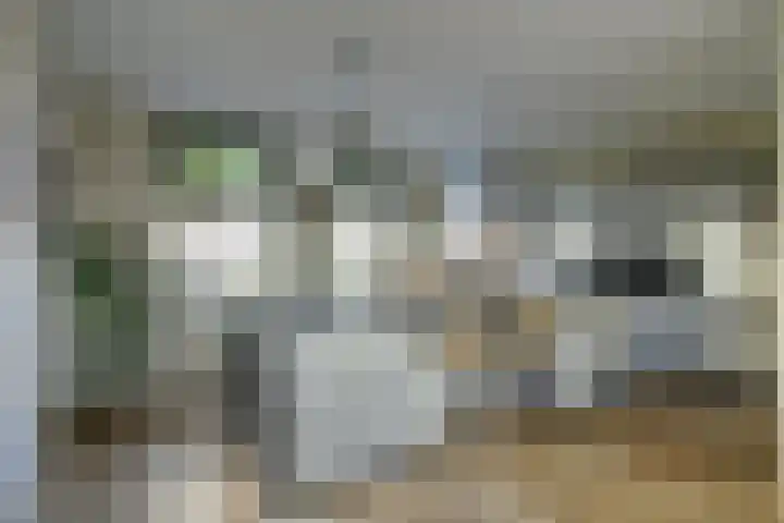 Ansjoviskade 29 Kolhorn thumbnail 10