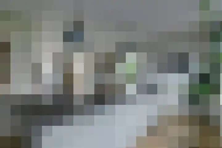 Ansjoviskade 29 Kolhorn thumbnail 11