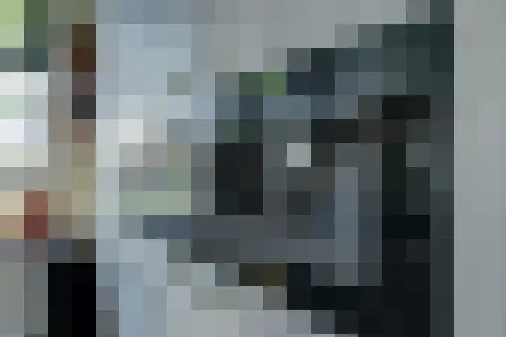 Ansjoviskade 29 Kolhorn thumbnail 12