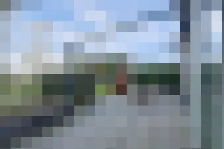 Ansjoviskade 29 Kolhorn thumbnail 15