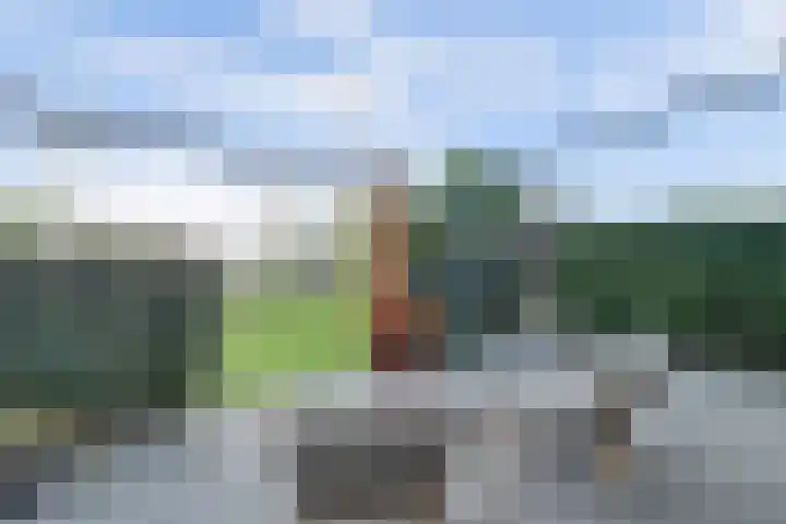 Ansjoviskade 29 Kolhorn thumbnail 16