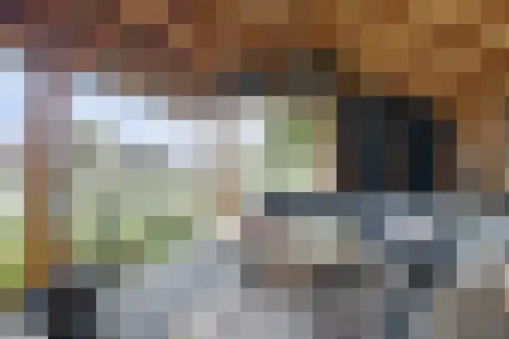 Ansjoviskade 29 Kolhorn thumbnail 17
