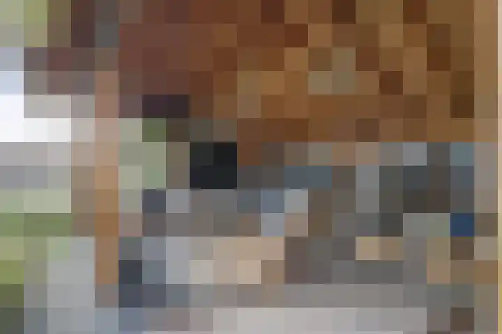 Ansjoviskade 29 Kolhorn thumbnail 18
