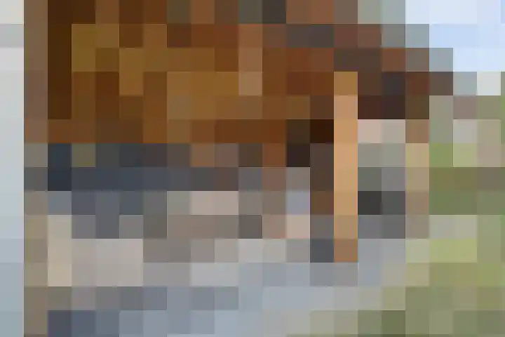 Ansjoviskade 29 Kolhorn thumbnail 19