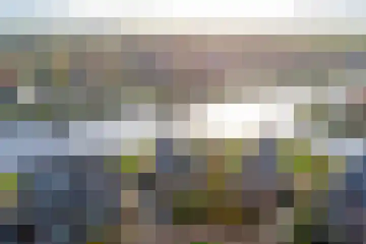 Ansjoviskade 29 Kolhorn foto 2