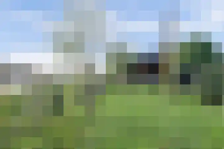 Ansjoviskade 29 Kolhorn thumbnail 20