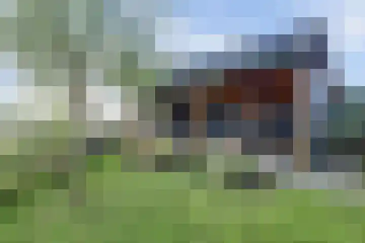 Ansjoviskade 29 Kolhorn thumbnail 21