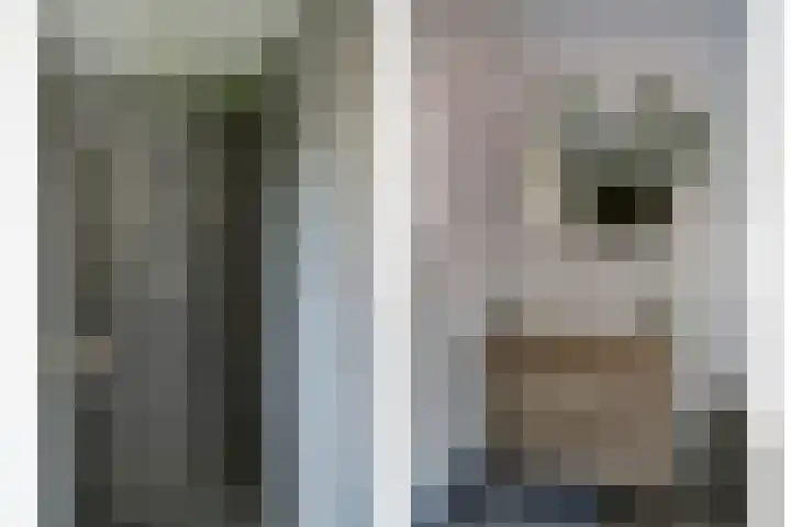Ansjoviskade 29 Kolhorn thumbnail 35