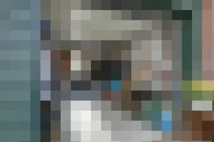 Ansjoviskade 29 Kolhorn thumbnail 43