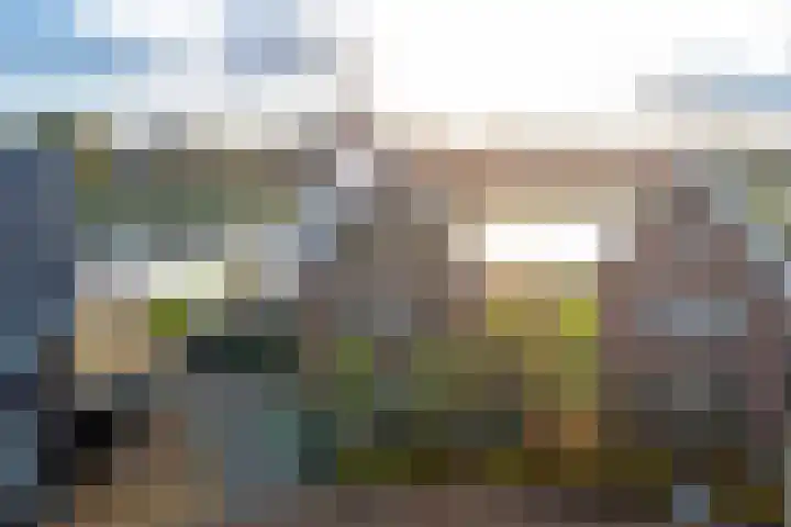 Ansjoviskade 29 Kolhorn thumbnail 50
