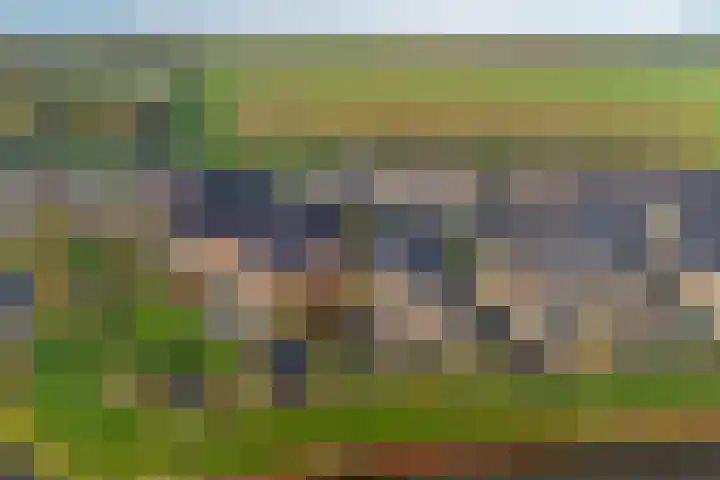 Ansjoviskade 29 Kolhorn thumbnail 51
