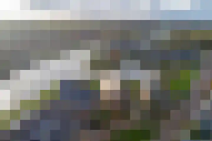 Ansjoviskade 29 Kolhorn thumbnail 52