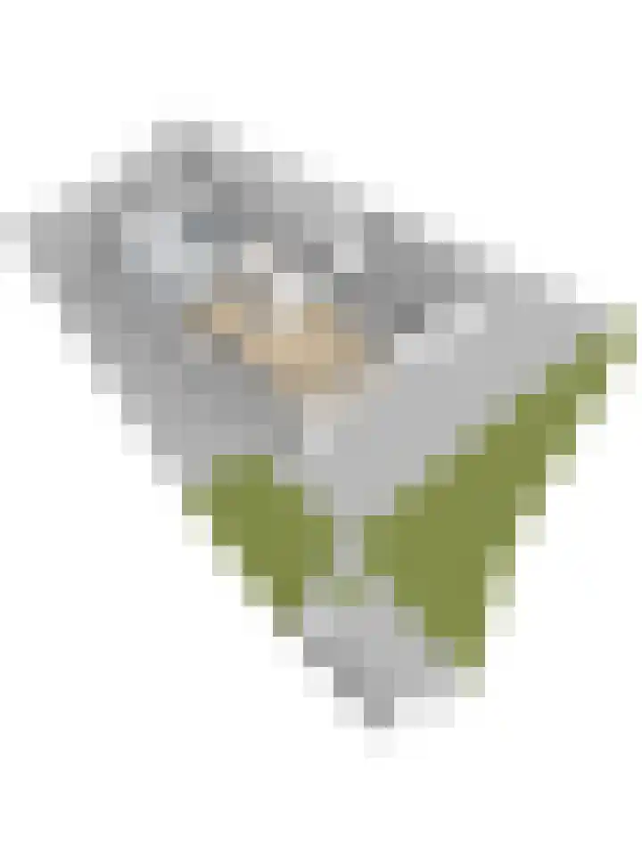 Ansjoviskade 29 Kolhorn thumbnail 64