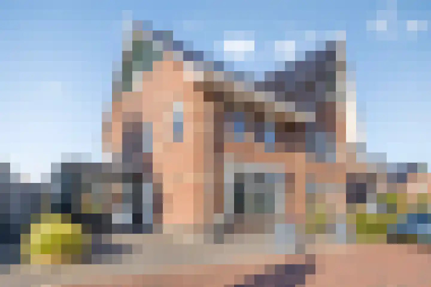 Ansjoviskade 37 Kolhorn