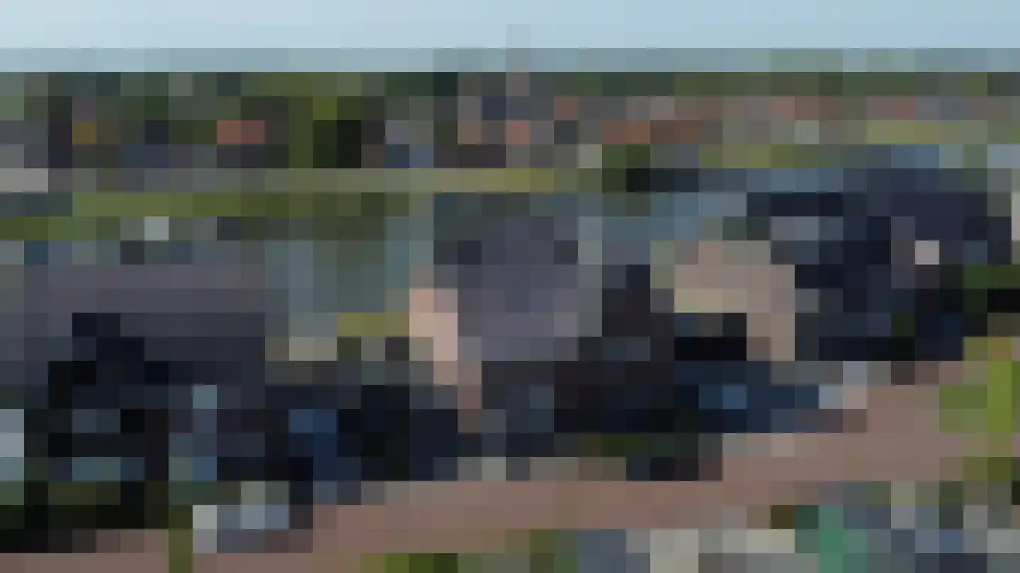 Ansjoviskade 37 Kolhorn thumbnail 46