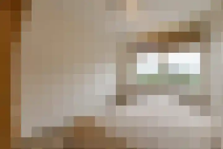 Ansjoviskade 64 Kolhorn thumbnail 22