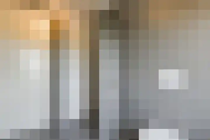 Ansjoviskade 64 Kolhorn thumbnail 28
