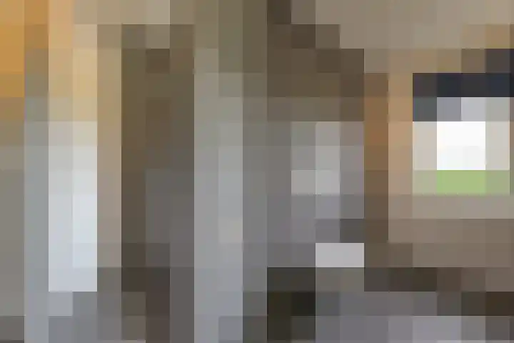 Ansjoviskade 64 Kolhorn thumbnail 30