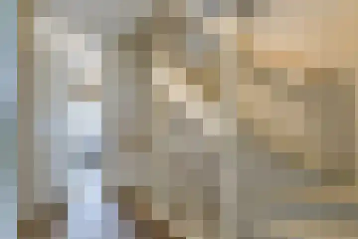 Ansjoviskade 64 Kolhorn thumbnail 31